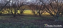 20230110_160037 - Dalla terra... il grano